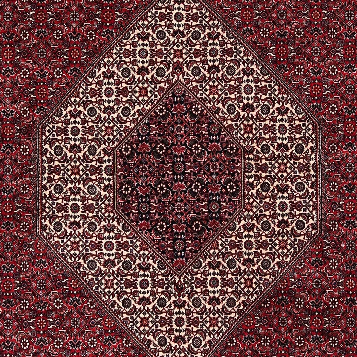 Tappeto Persero - Bidjar - 252 x 203 cm - rosso scuro
