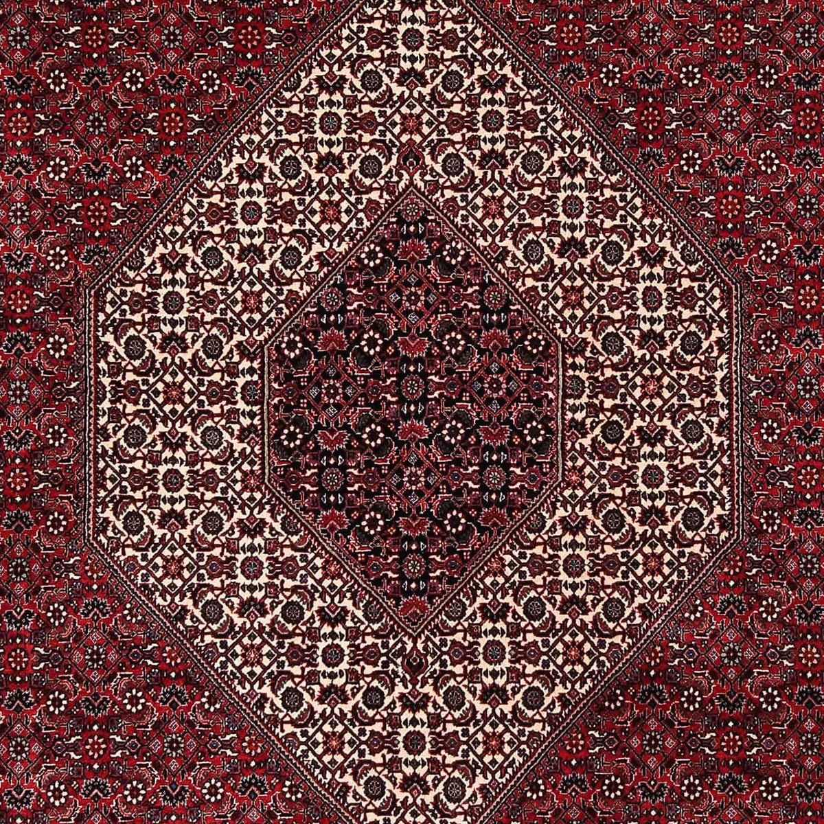 Tappeto Persero - Bidjar - 252 x 203 cm - rosso scuro