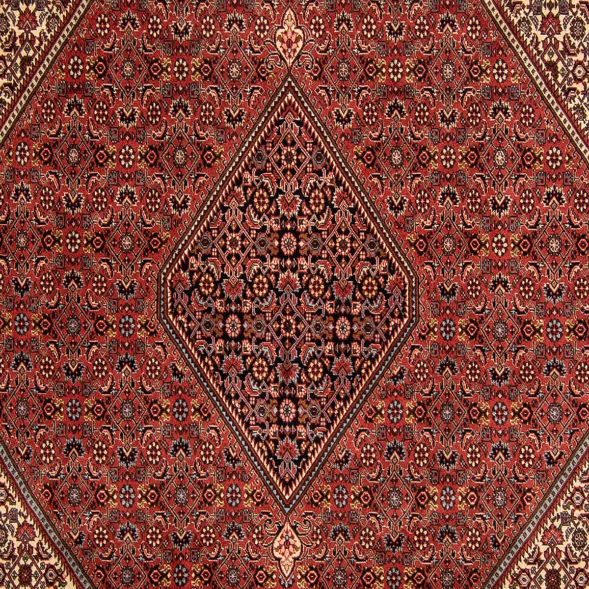 Tappeto Persero - Bidjar - 343 x 250 cm - rosso scuro
