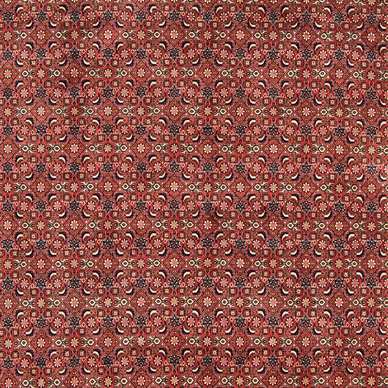 Tappeto Persero - Bidjar - 316 x 252 cm - rosso