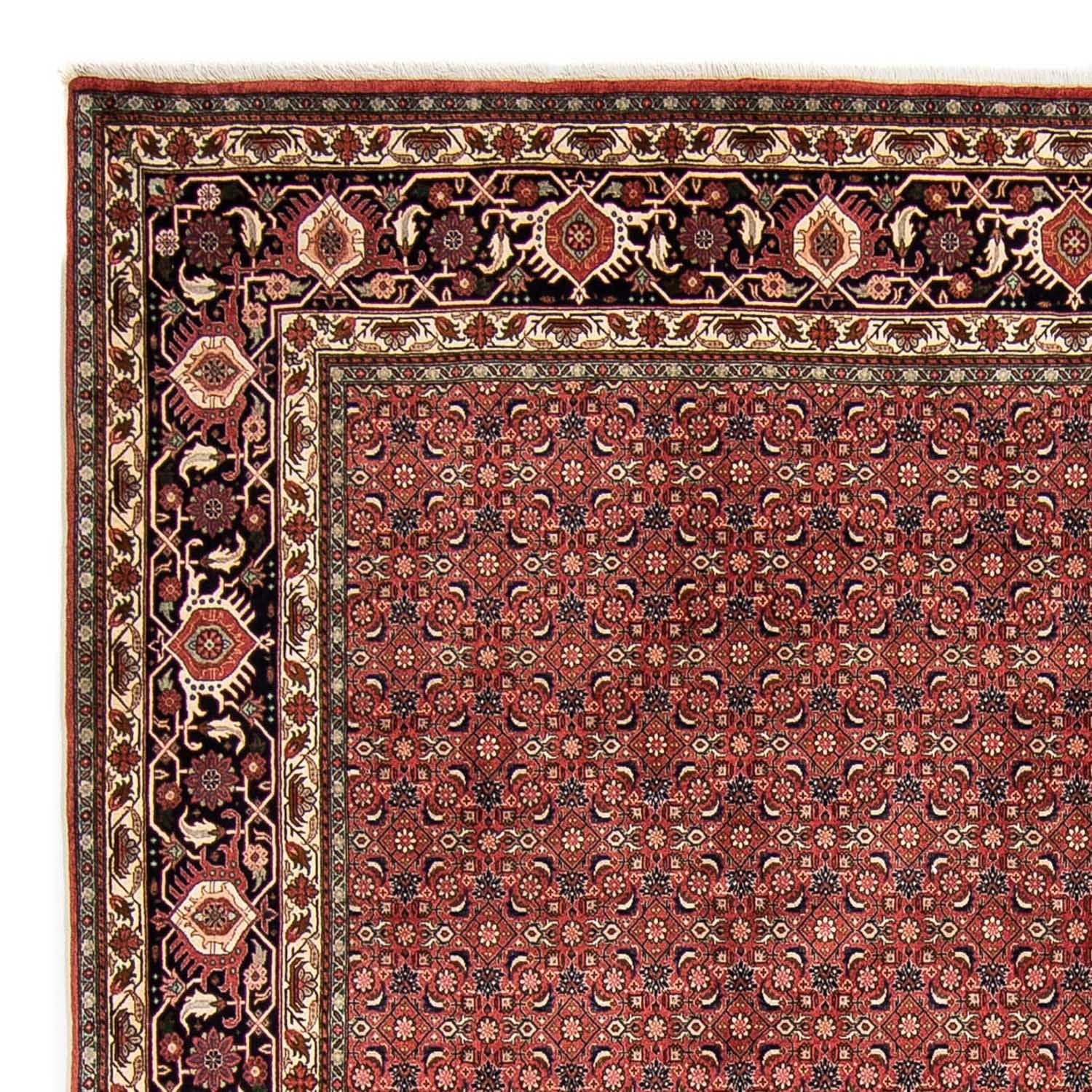 Tappeto Persero - Bidjar - 316 x 252 cm - rosso