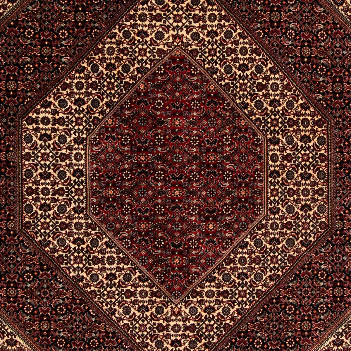 Tappeto Persero - Bidjar - 262 x 203 cm - rosso scuro
