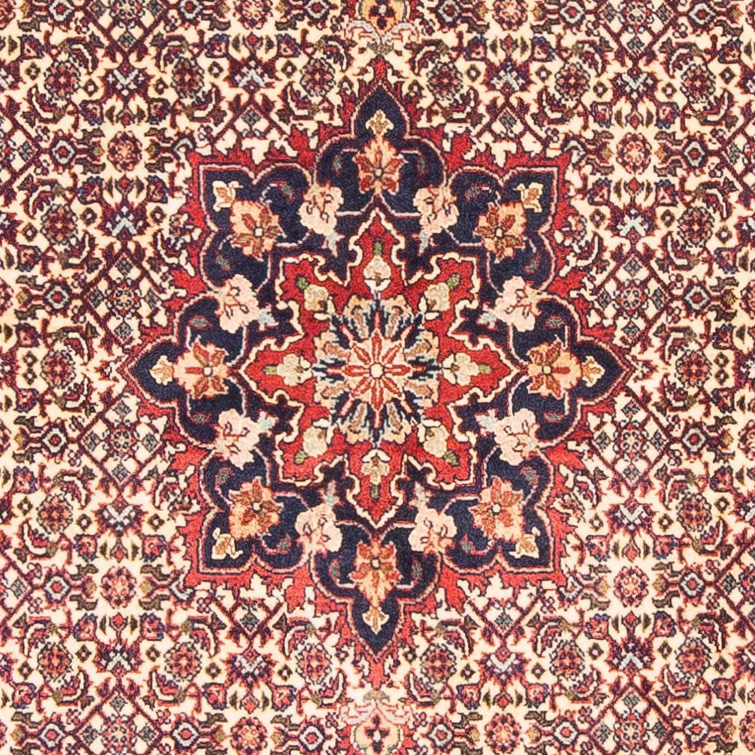 Tappeto Persero - Bidjar - 151 x 88 cm - beige