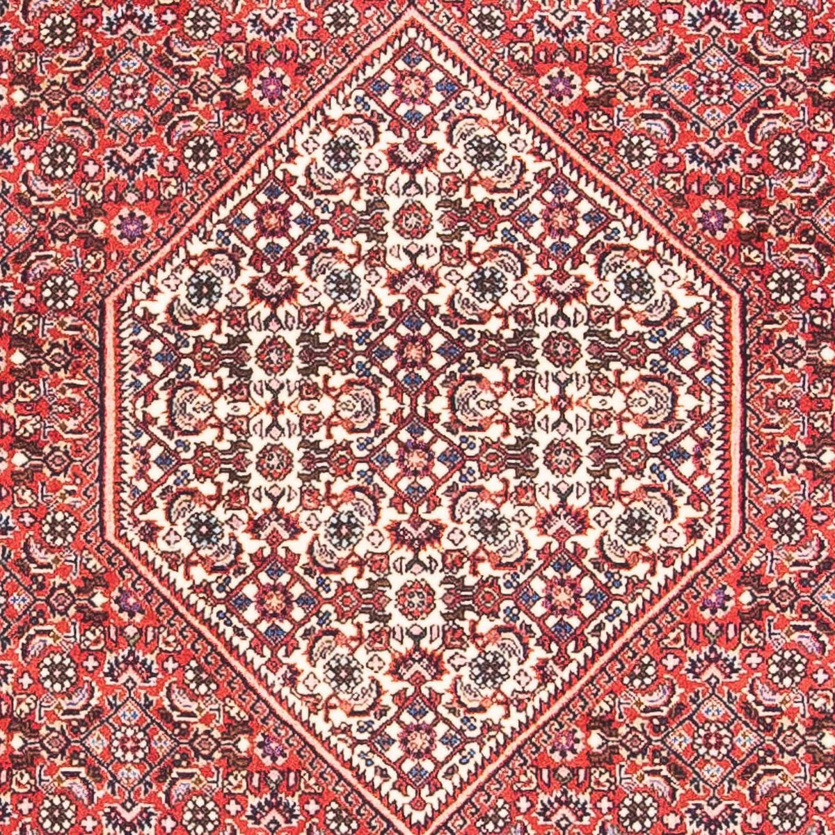 Tappeto Persero - Bidjar - 154 x 87 cm - rosso