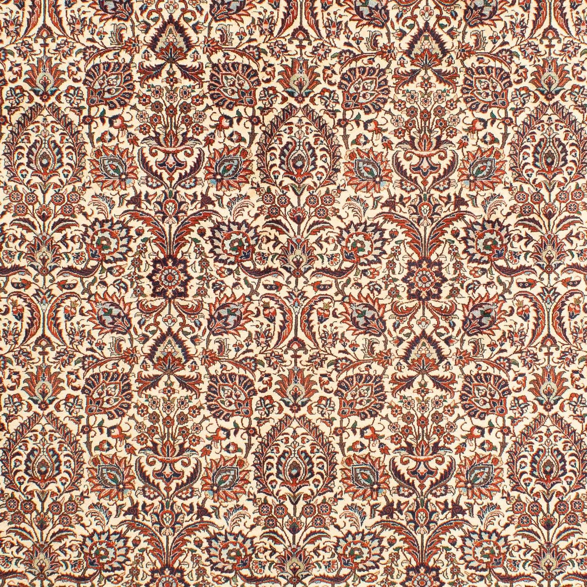 Tappeto Persero - Bidjar - 291 x 205 cm - beige