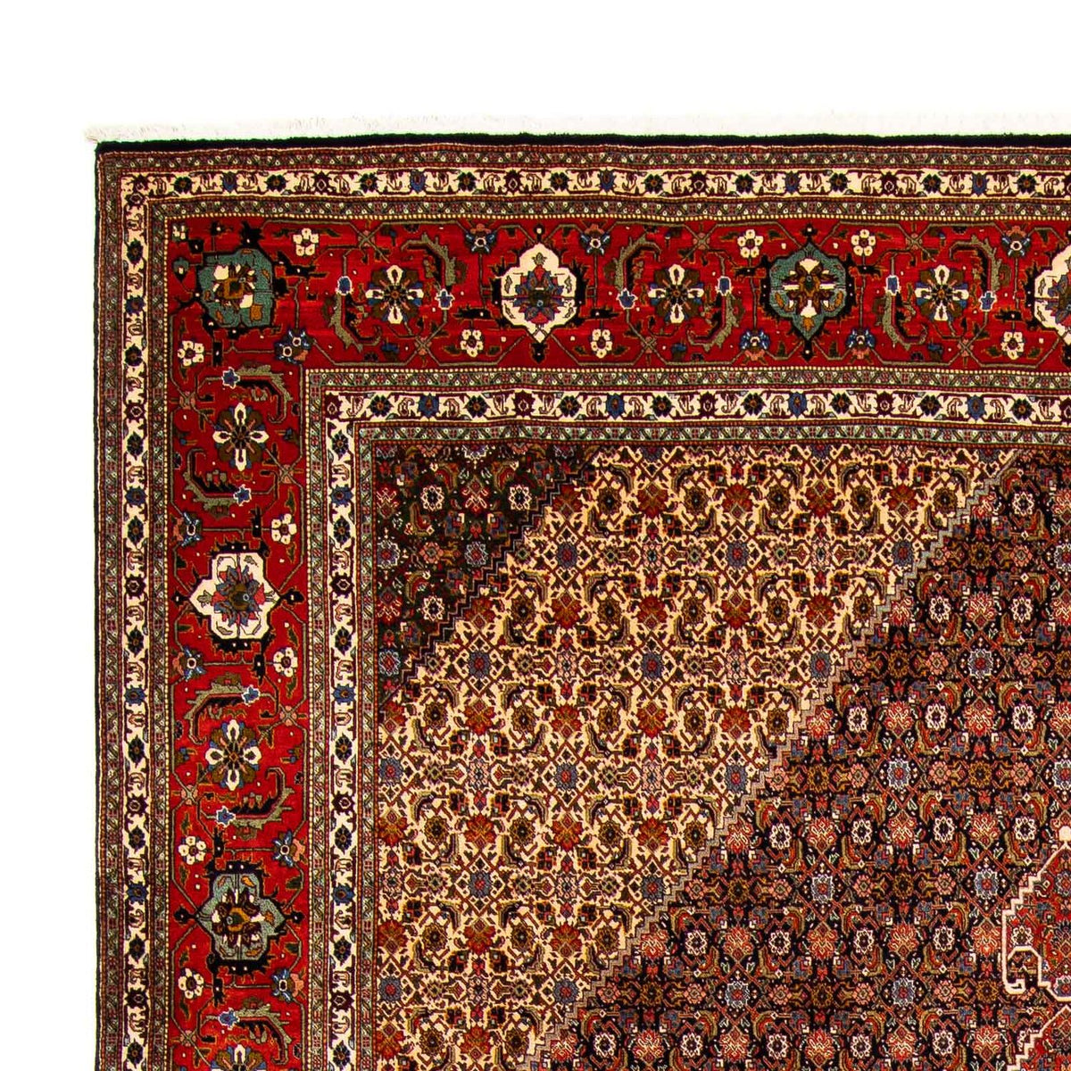 Tappeto Persero - Tabriz - 415 x 308 cm - multicolore