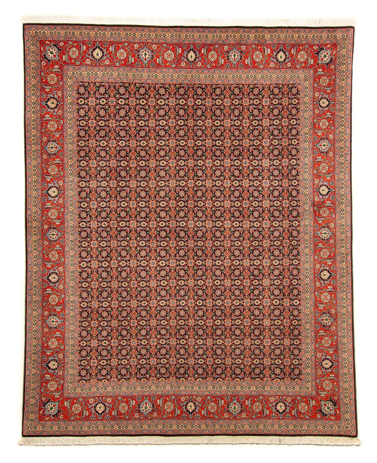 Tappeto Persero - Tabriz - 252 x 201 cm - blu scuro