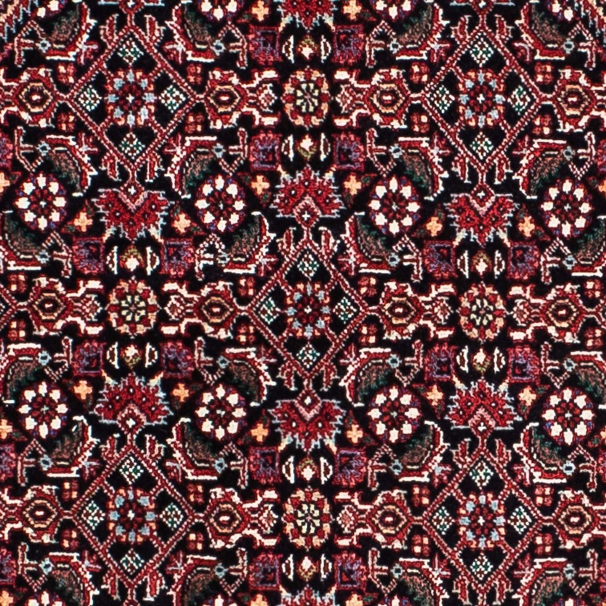 Tappeto Persero - Bidjar - 210 x 134 cm - rosso chiaro