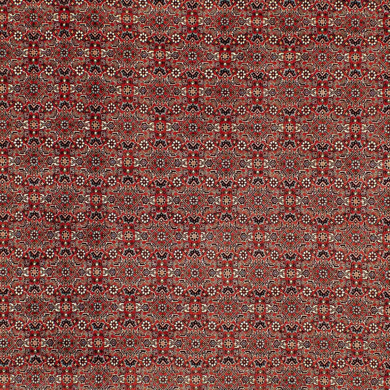 Tappeto Persero - Bidjar - 300 x 206 cm - rosso chiaro