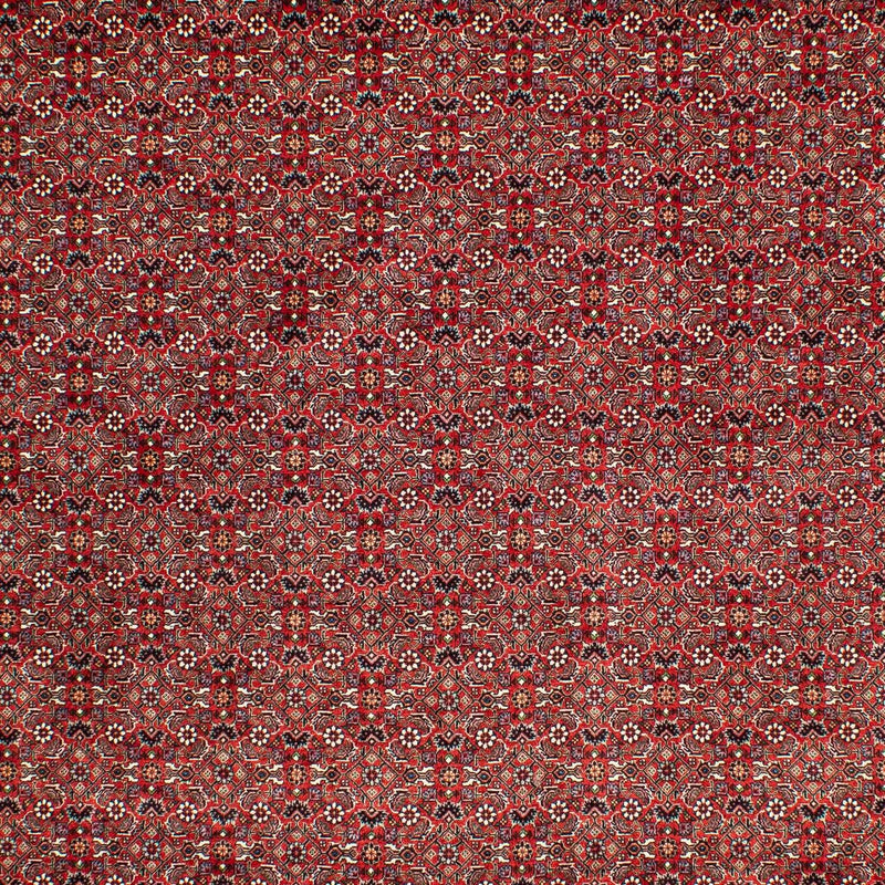 Tappeto Persero - Bidjar - 302 x 210 cm - rosso scuro