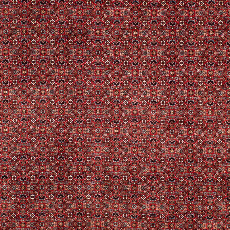 Tappeto Persero - Bidjar - 298 x 205 cm - rosso scuro
