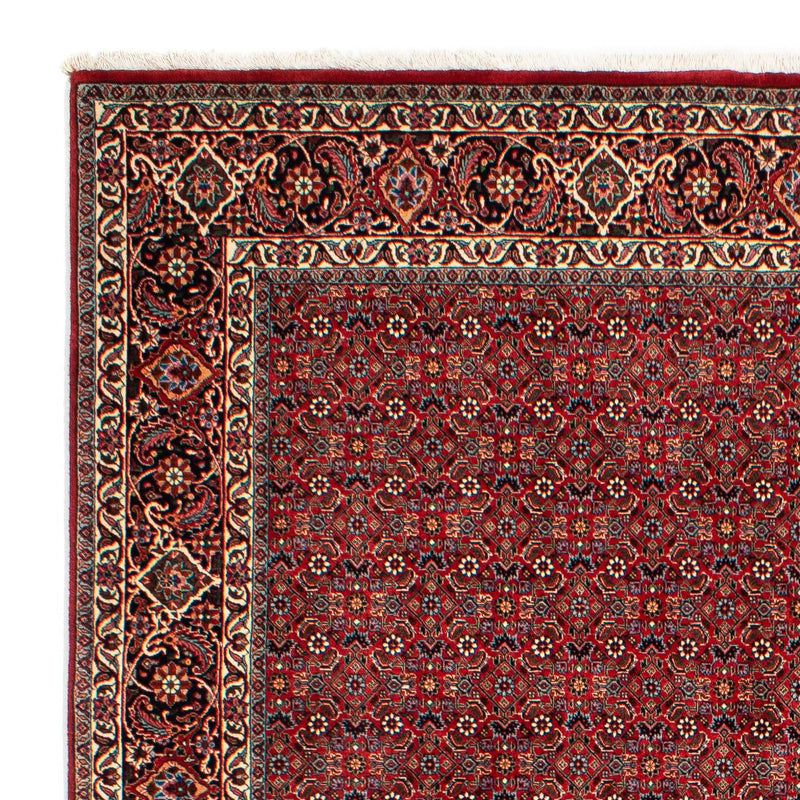 Tappeto Persero - Bidjar - 298 x 205 cm - rosso scuro