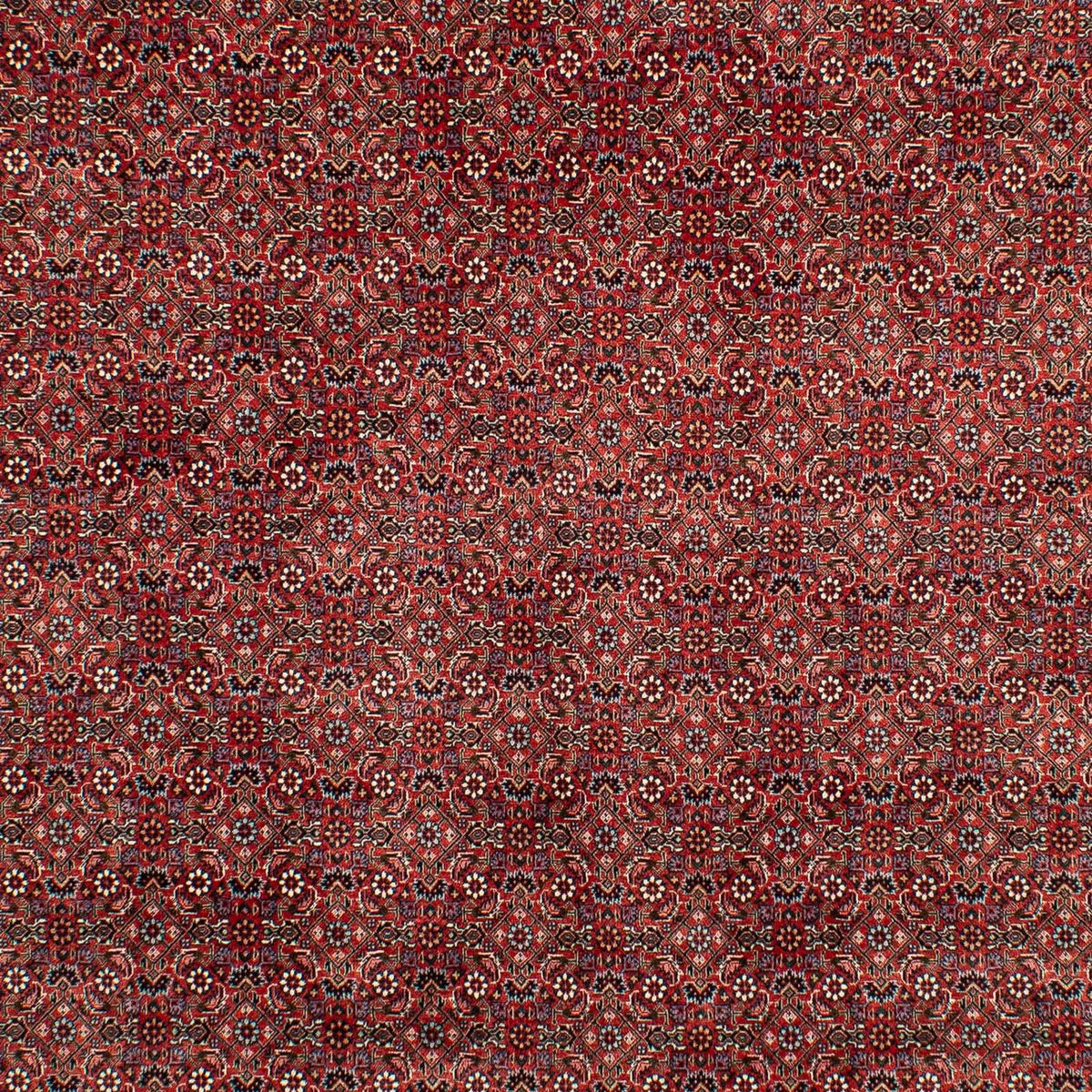 Tappeto Persero - Bidjar - 299 x 202 cm - rosso scuro
