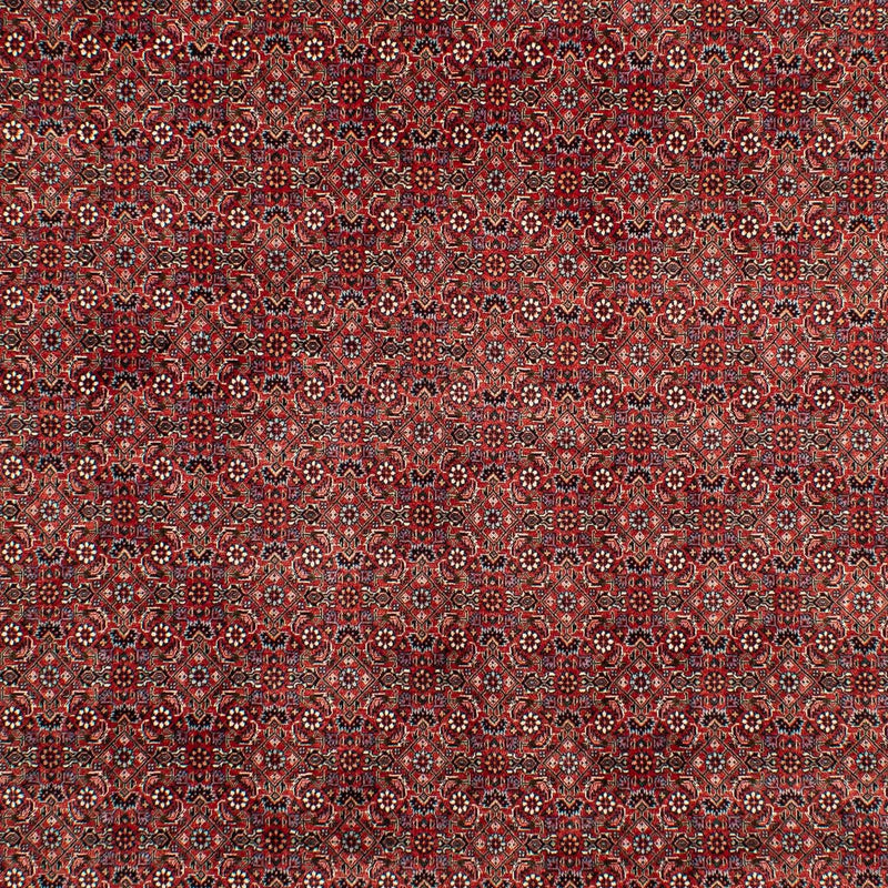 Tappeto Persero - Bidjar - 299 x 202 cm - rosso scuro