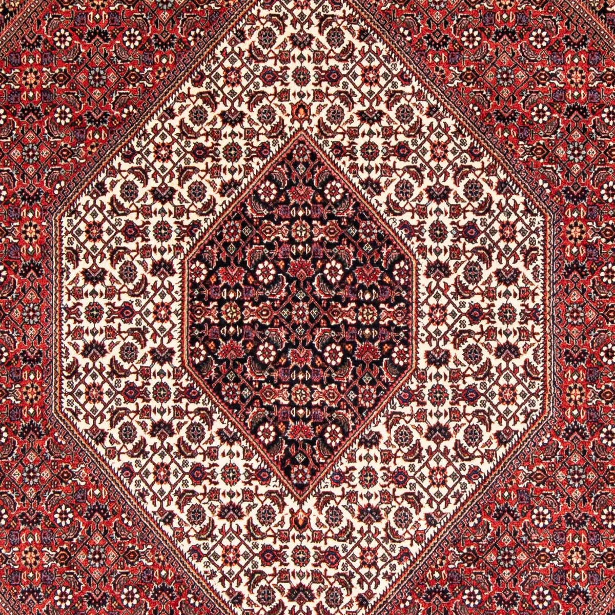 Tappeto Persero - Bidjar - 236 x 169 cm - rosso scuro