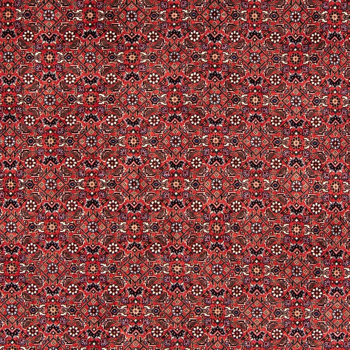 Tappeto Persero - Bidjar - 243 x 173 cm - rosso scuro