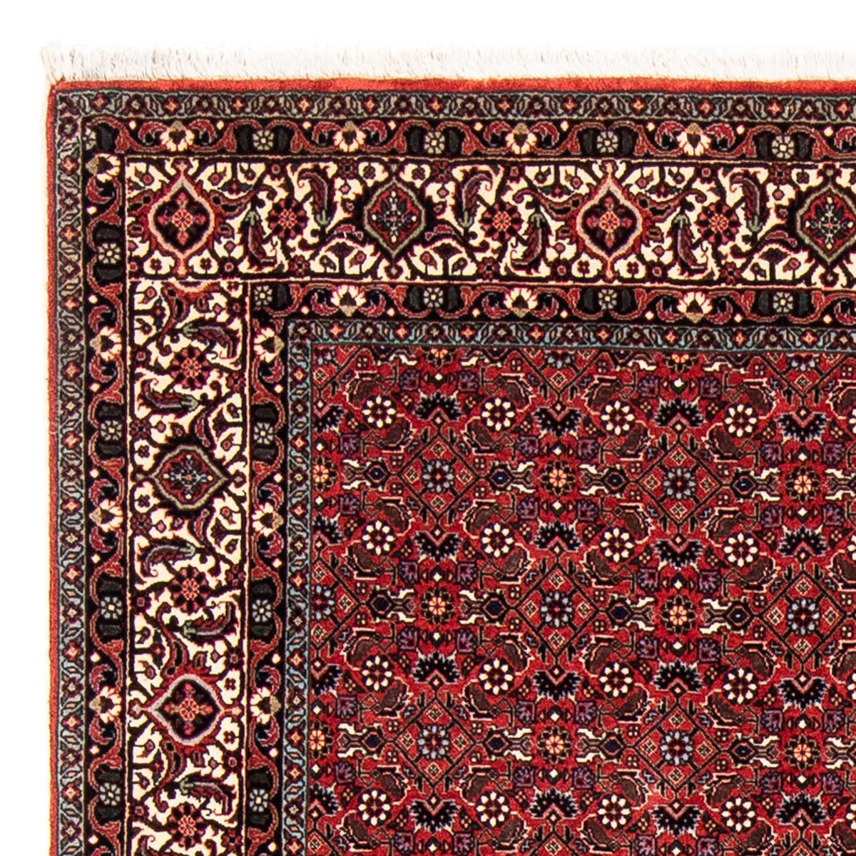 Tappeto Persero - Bidjar - 243 x 173 cm - rosso scuro