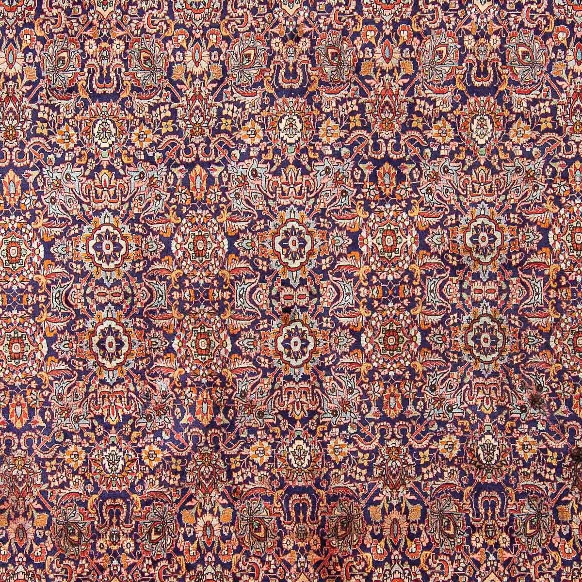 Tappeto Persero - Bidjar - 385 x 300 cm - blu scuro