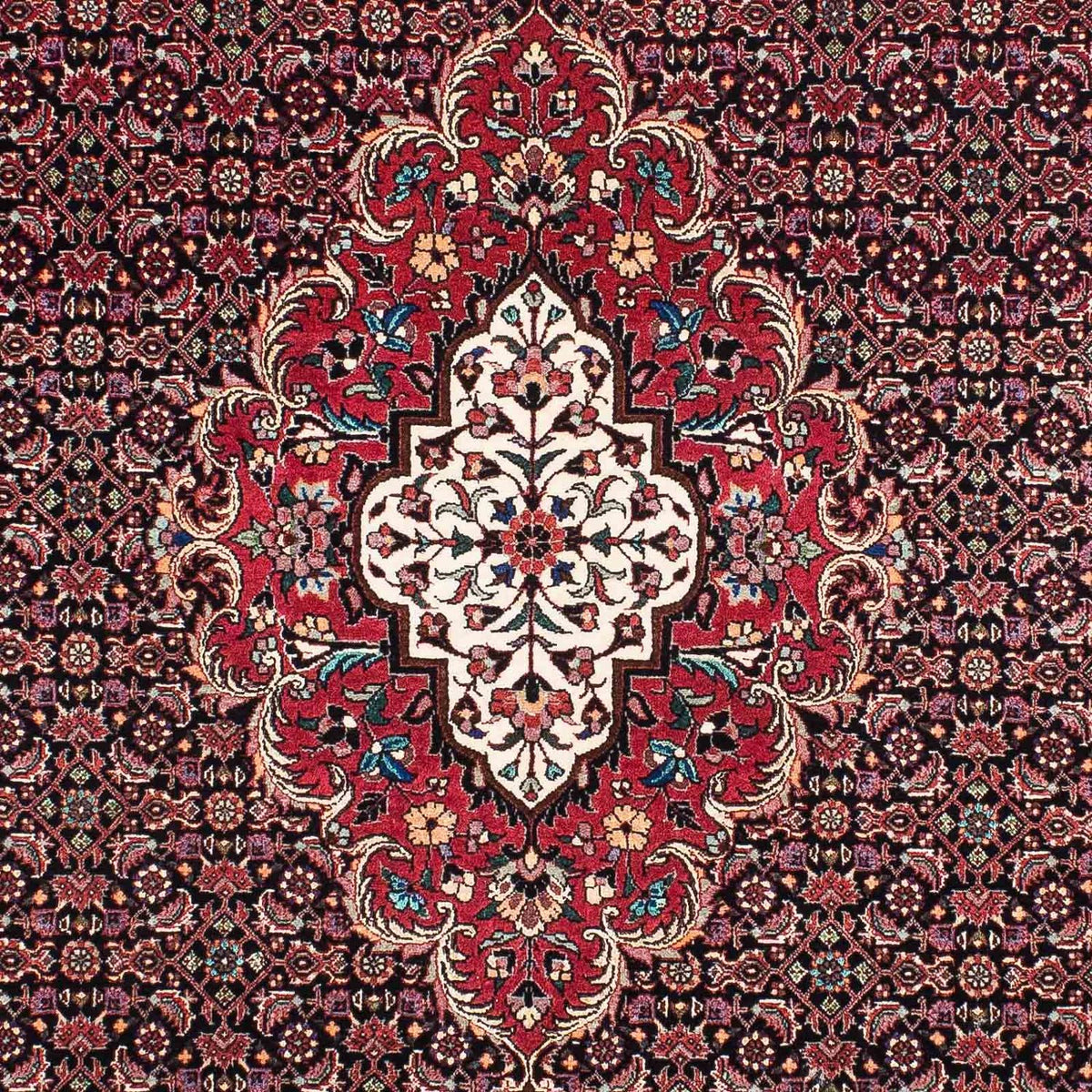 Tappeto Persero - Bidjar - 214 x 133 cm - rosso