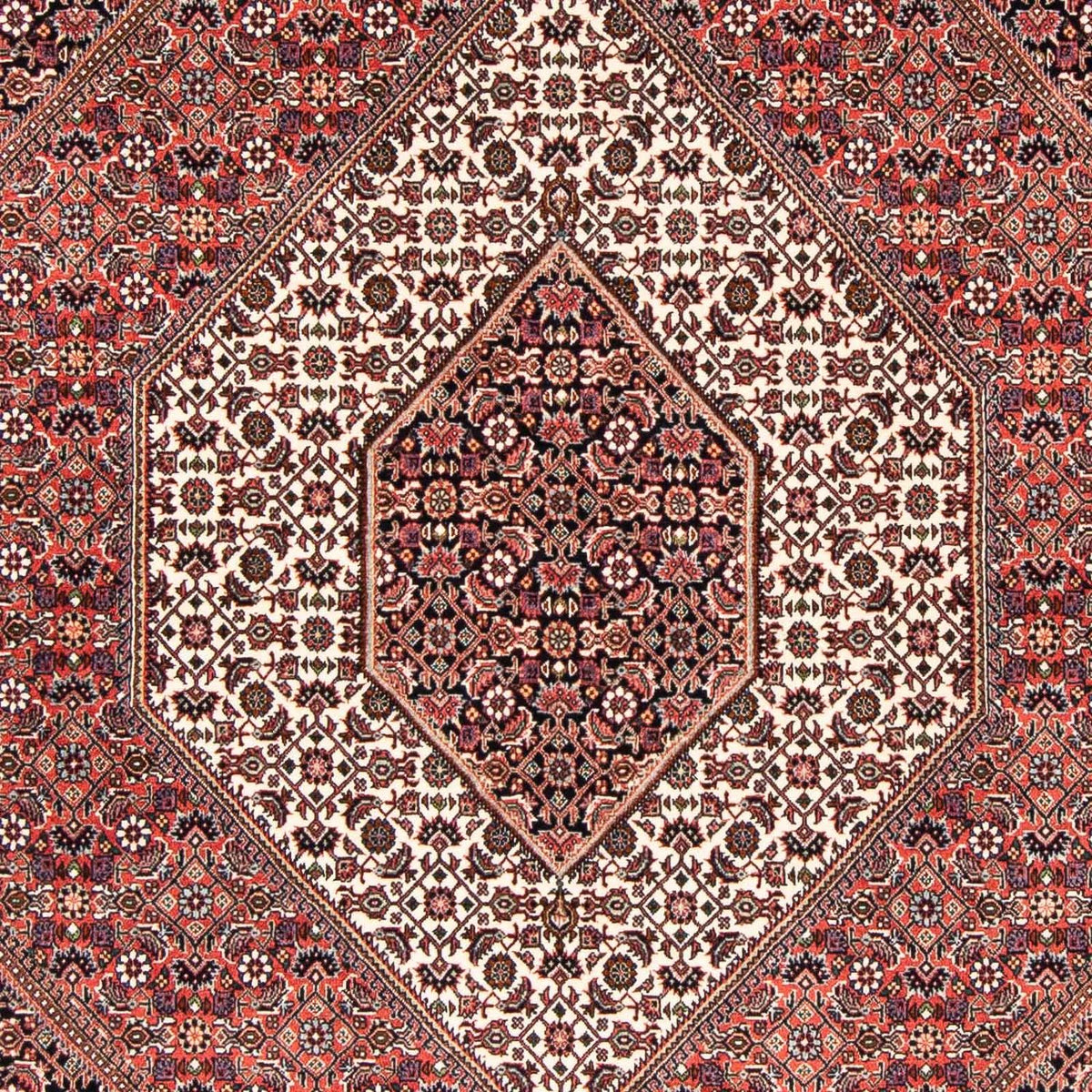 Tappeto Persero - Bidjar - 227 x 171 cm - rosso chiaro