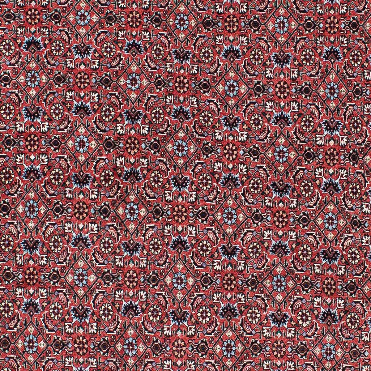 Tappeto Persero - Bidjar - 213 x 133 cm - rosso chiaro