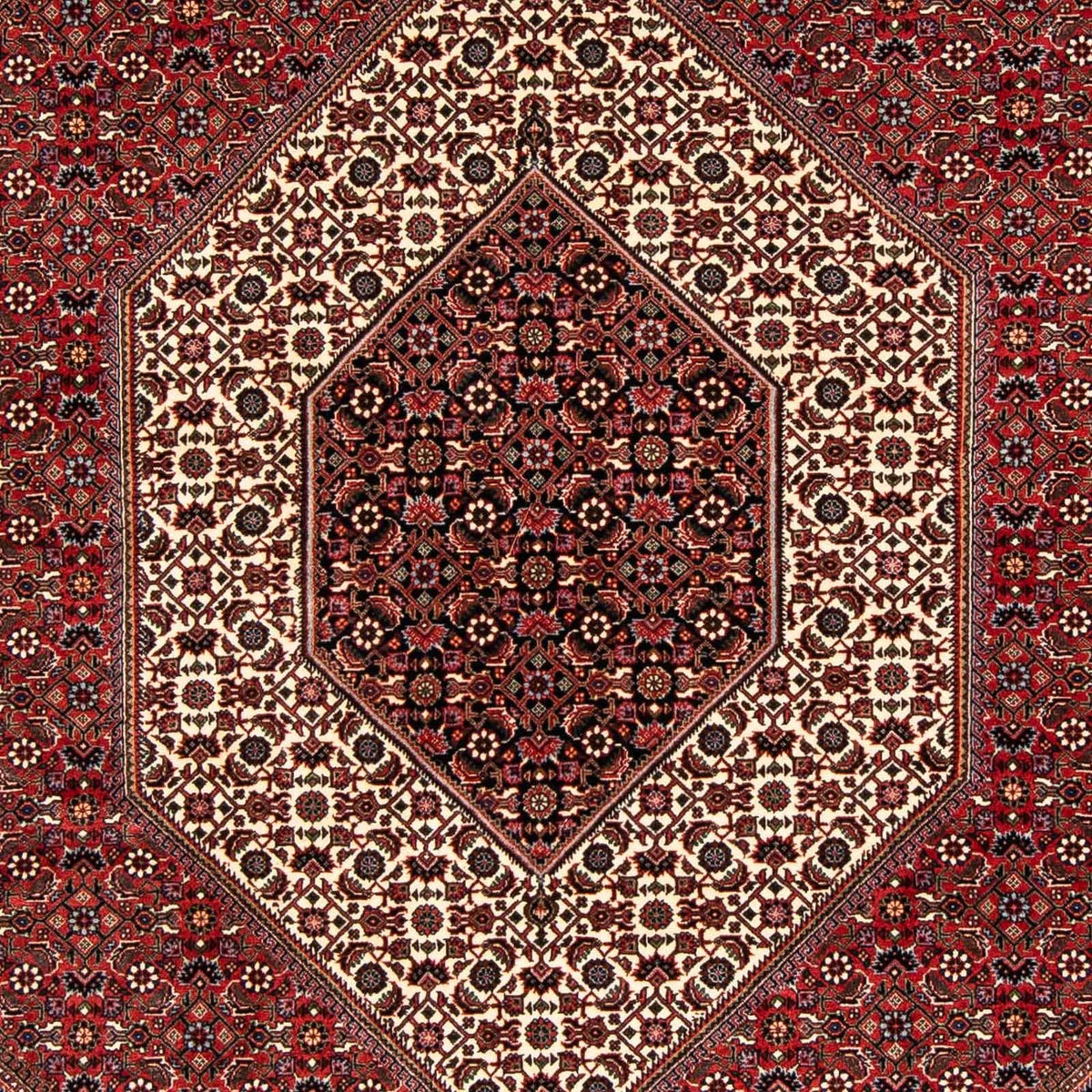 Tappeto Persero - Bidjar - 238 x 175 cm - rosso scuro