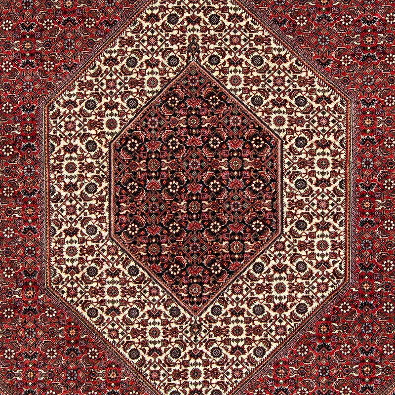 Tappeto Persero - Bidjar - 238 x 175 cm - rosso scuro
