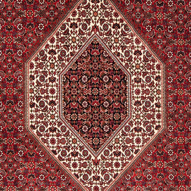 Tappeto Persero - Bidjar - 246 x 170 cm - rosso scuro