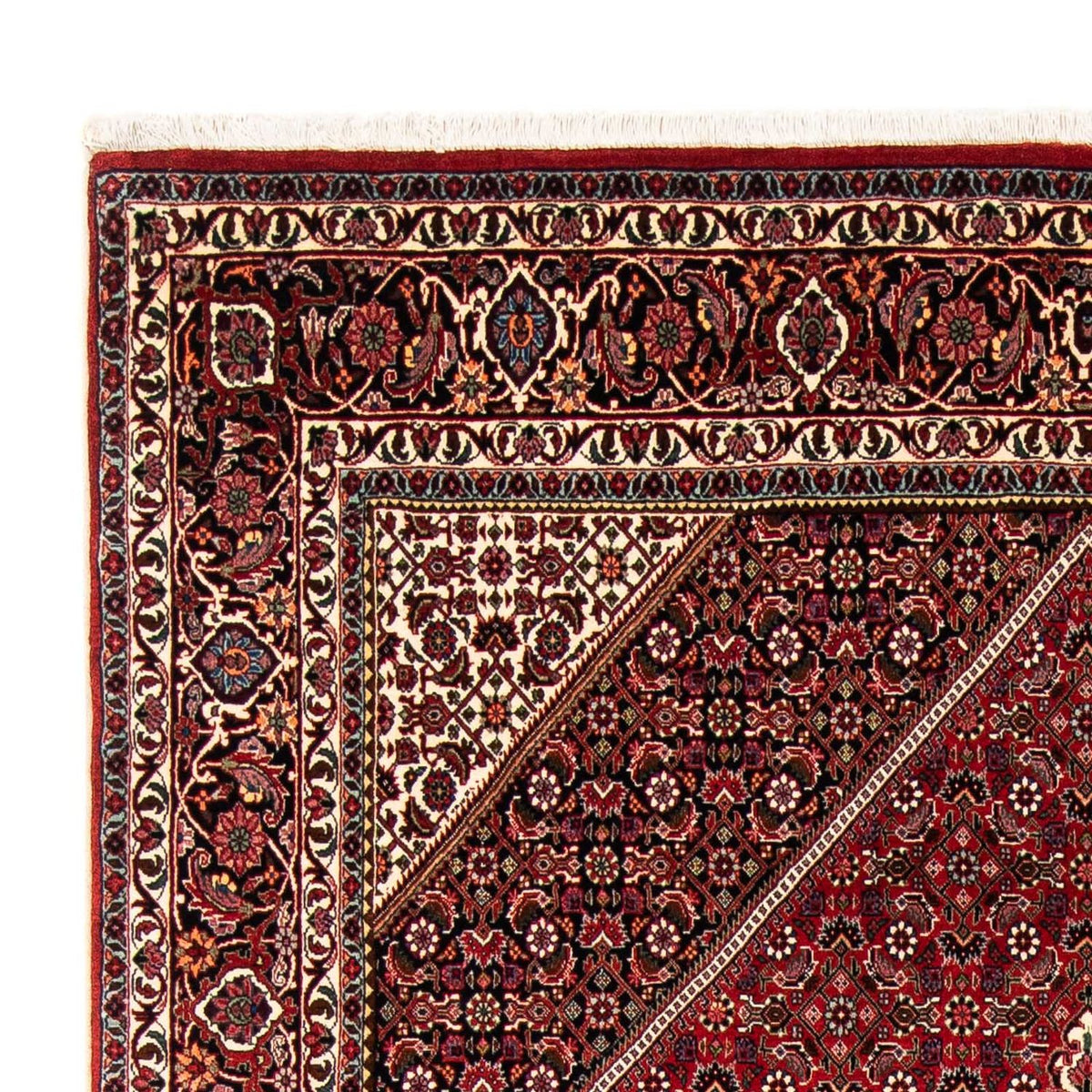 Tappeto Persero - Bidjar - 246 x 170 cm - rosso scuro