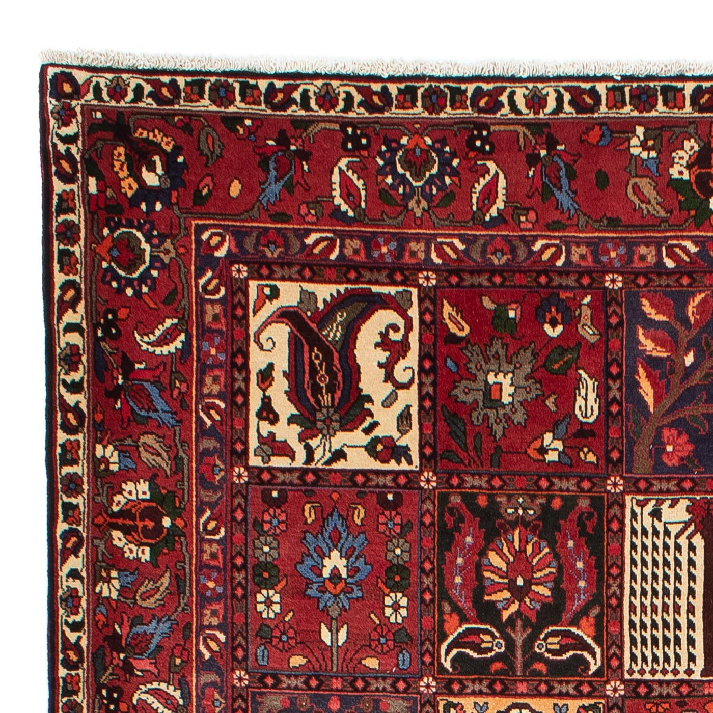Bakhtiari Tappeto 310x210cm - Tappeto persiano