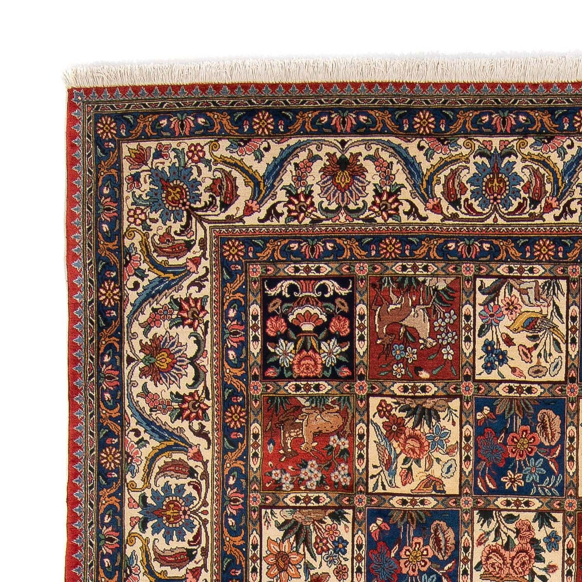 Bakhtiari Tappeto 244x350cm - Tappeto persiano