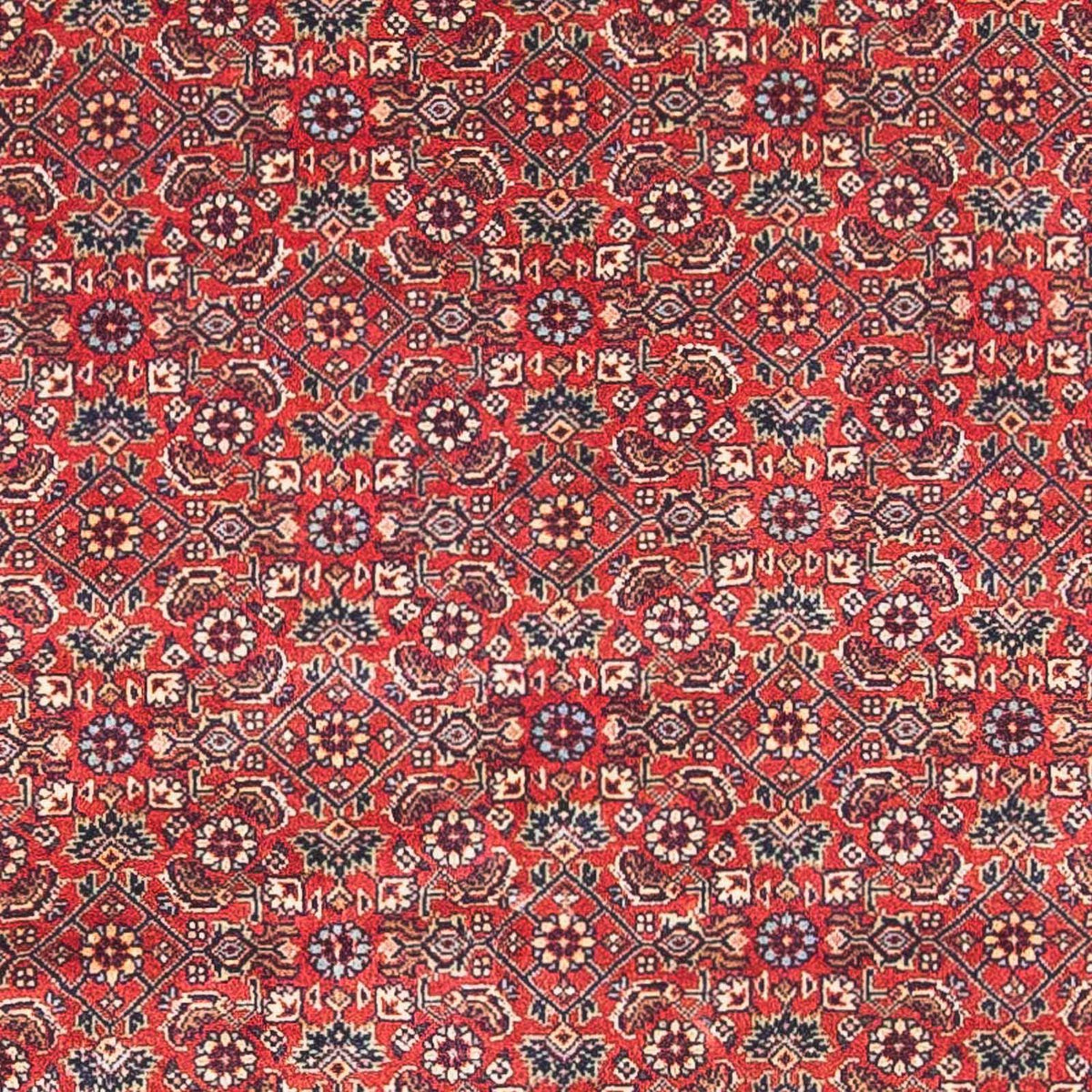 Tappeto Persero - Bidjar - 162 x 89 cm - rosso