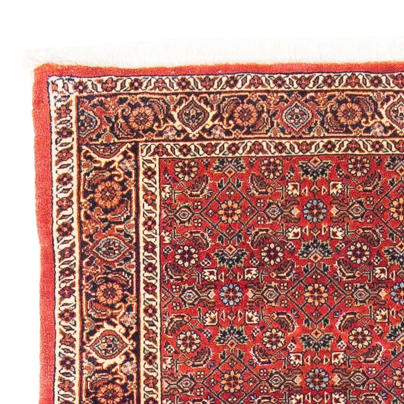 Bidjar Tappeto 162x89cm - Tappeto persiano