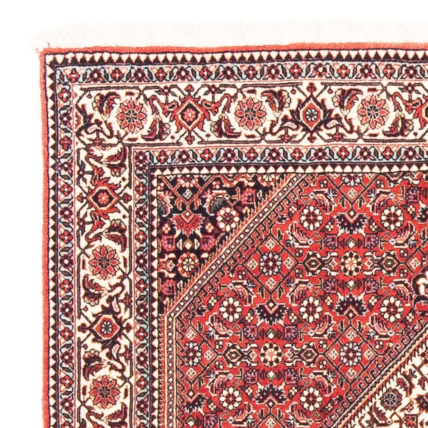 Tappeto Persero - Bidjar quadrato  - 112 x 100 cm - rosso