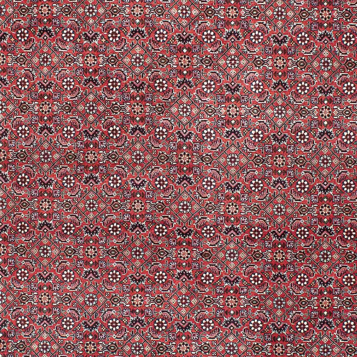 Tappeto Persero - Bidjar - 208 x 132 cm - rosso