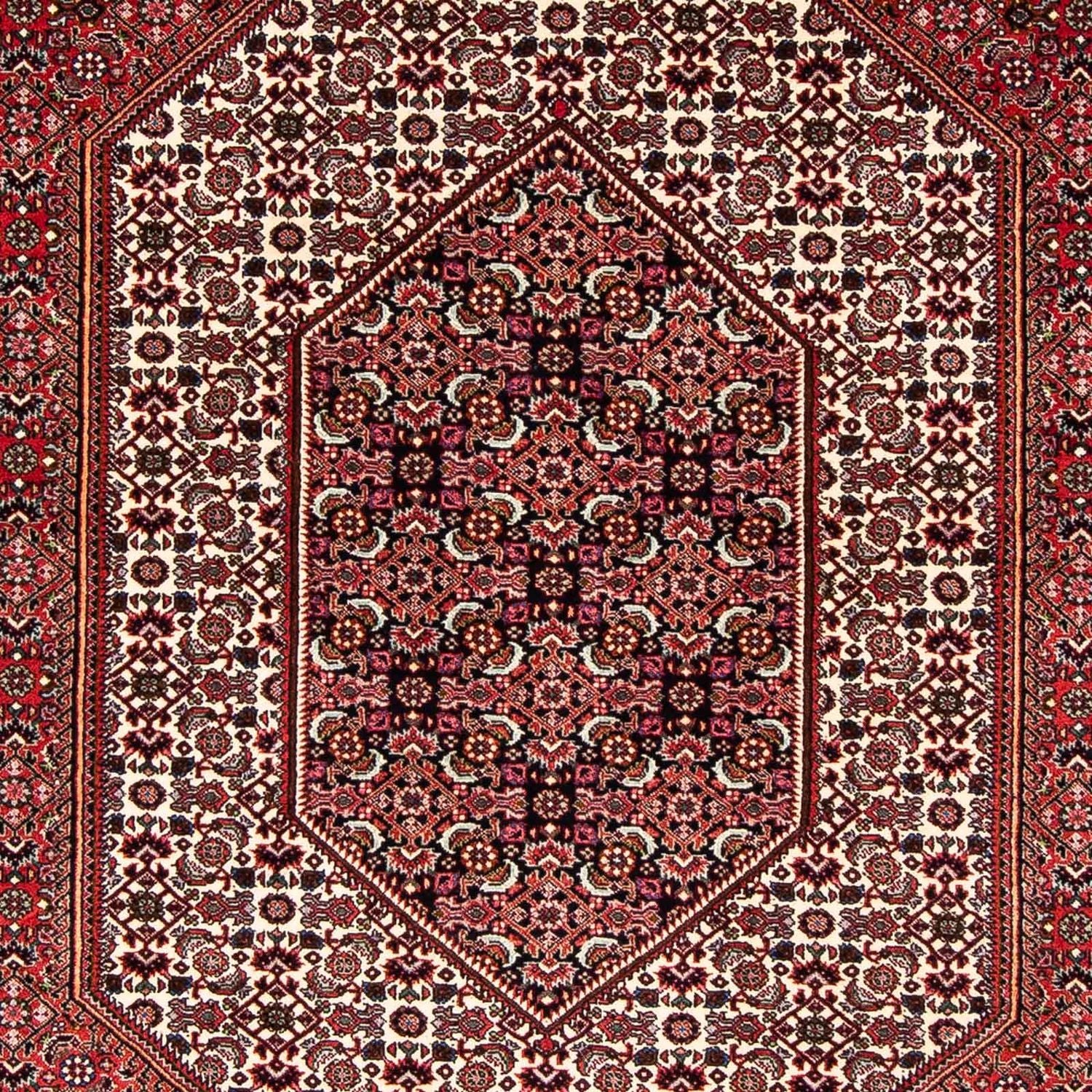 Tappeto Persero - Bidjar - 255 x 153 cm - rosso scuro