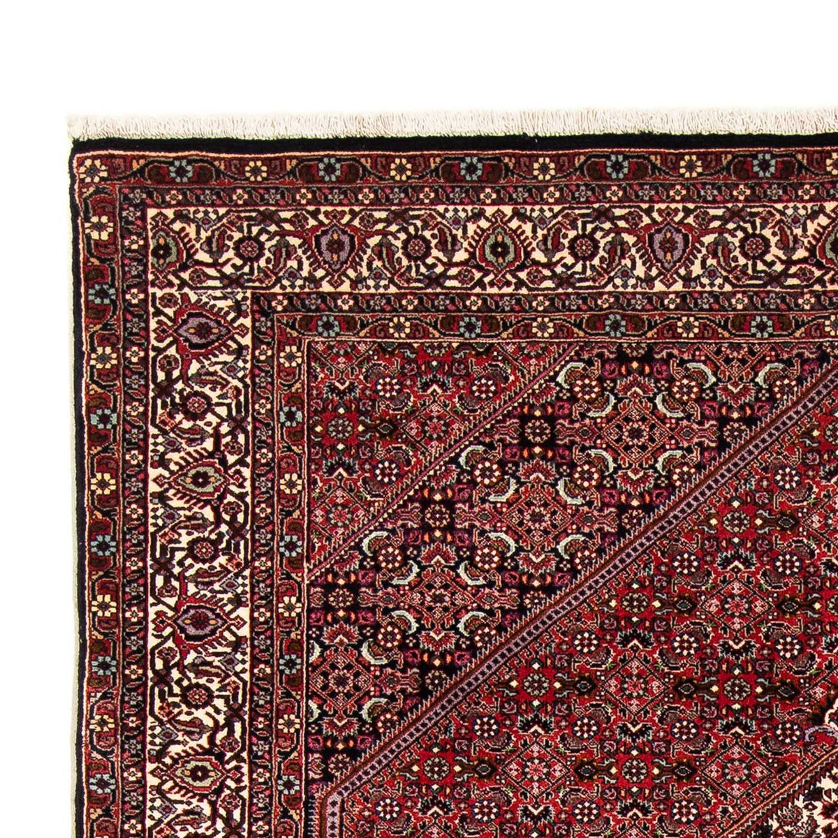 Bidjar Tappeto 153x255cm - Tappeto persiano