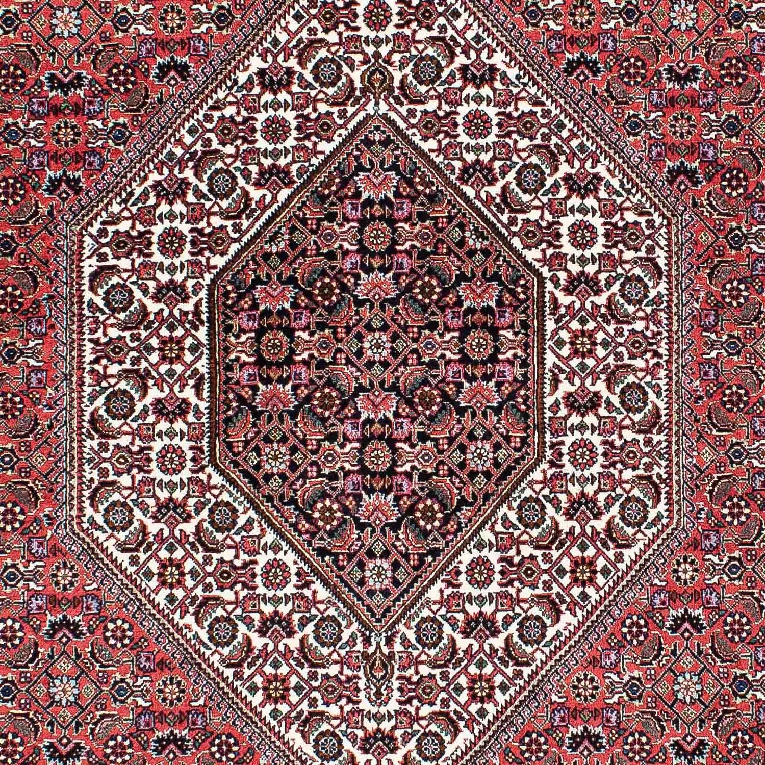 Tappeto Persero - Bidjar - 210 x 136 cm - rosso chiaro