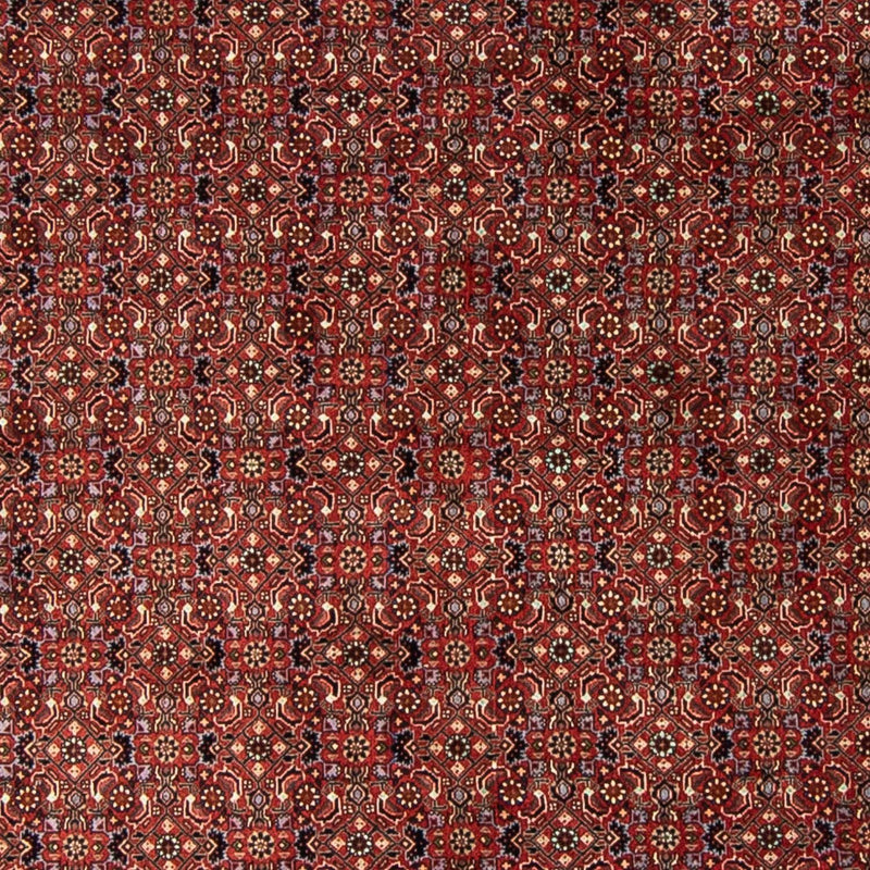Tappeto Persero - Bidjar rotondo  - 250 x 250 cm - rosso scuro