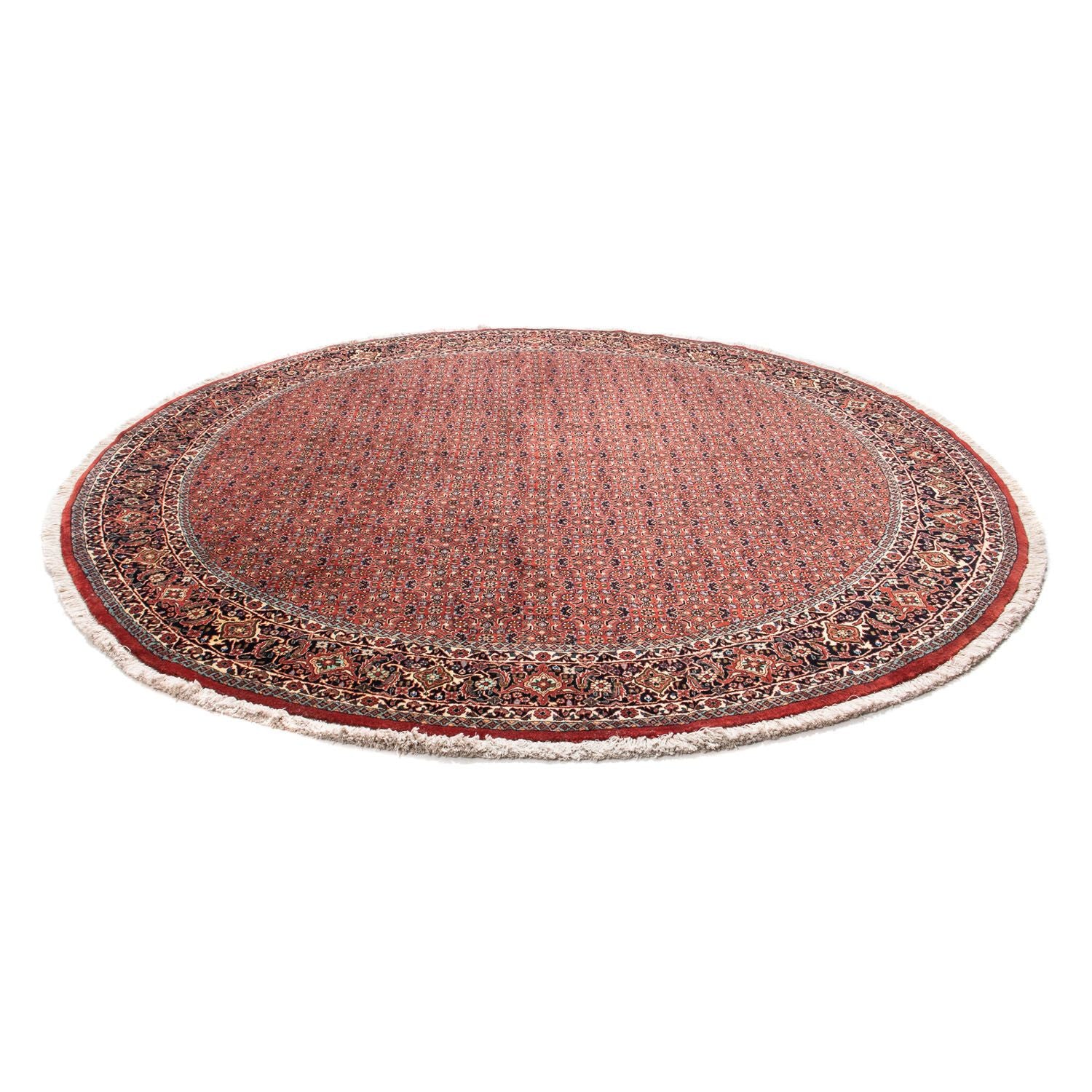 Tappeto Persero - Bidjar rotondo  - 250 x 250 cm - rosso scuro
