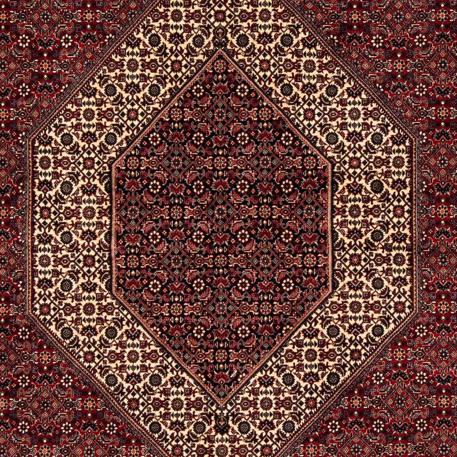 Tappeto Persero - Bidjar - 254 x 205 cm - rosso scuro