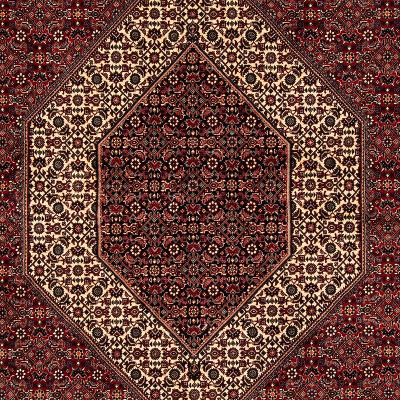 Tappeto Persero - Bidjar - 254 x 205 cm - rosso scuro