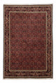 Bidjar Tappeto 246x172cm - Tappeto persiano