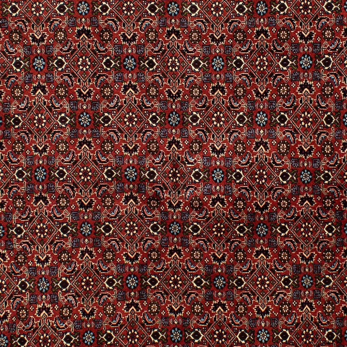Tappeto Persero - Bidjar - 246 x 172 cm - rosso scuro