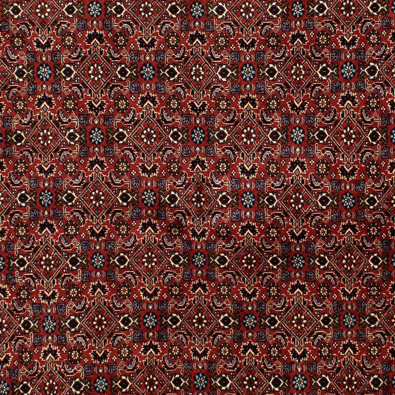 Tappeto Persero - Bidjar - 246 x 172 cm - rosso scuro
