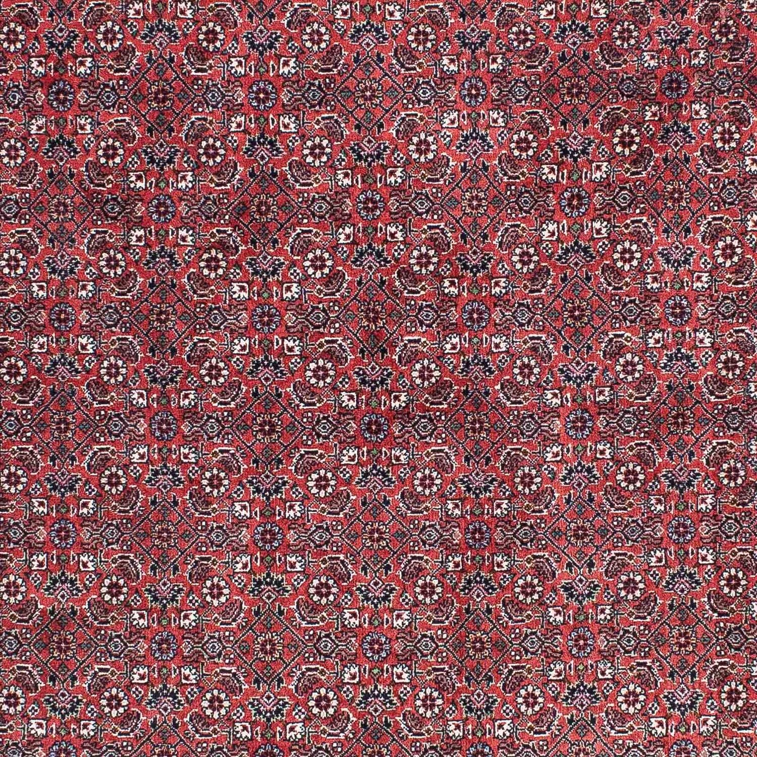 Tappeto Persero - Bidjar - 204 x 129 cm - rosso chiaro