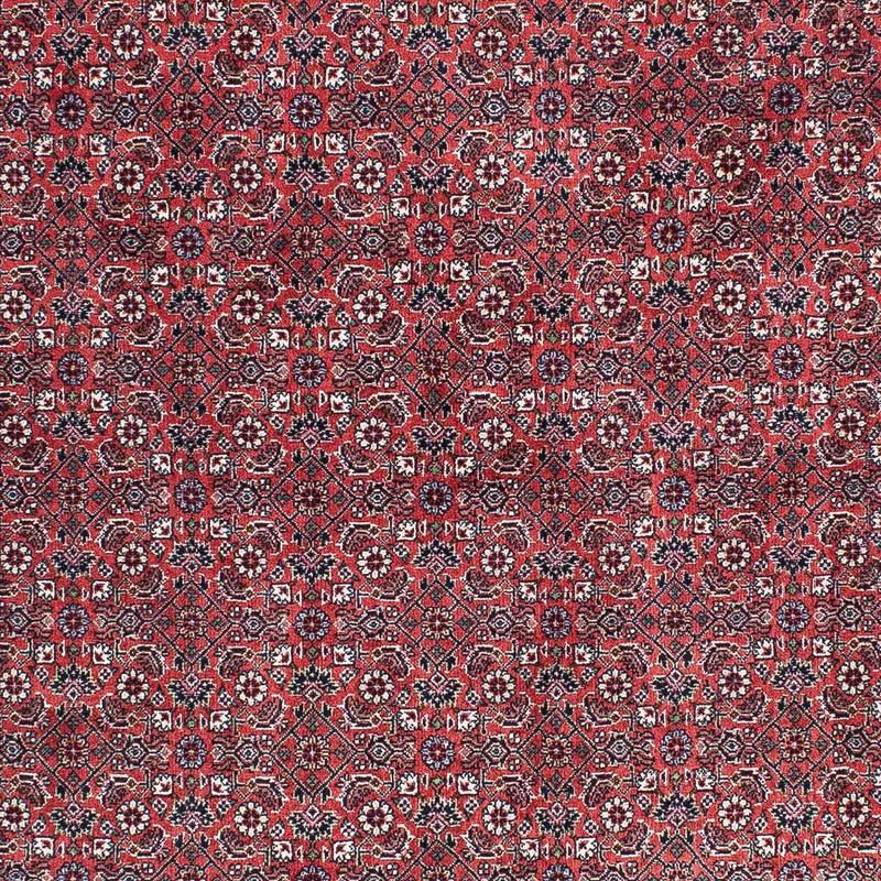 Tappeto Persero - Bidjar - 204 x 129 cm - rosso chiaro
