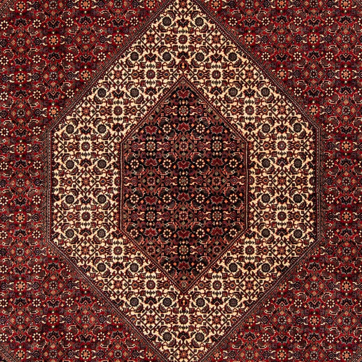 Tappeto Persero - Bidjar - 254 x 204 cm - rosso scuro