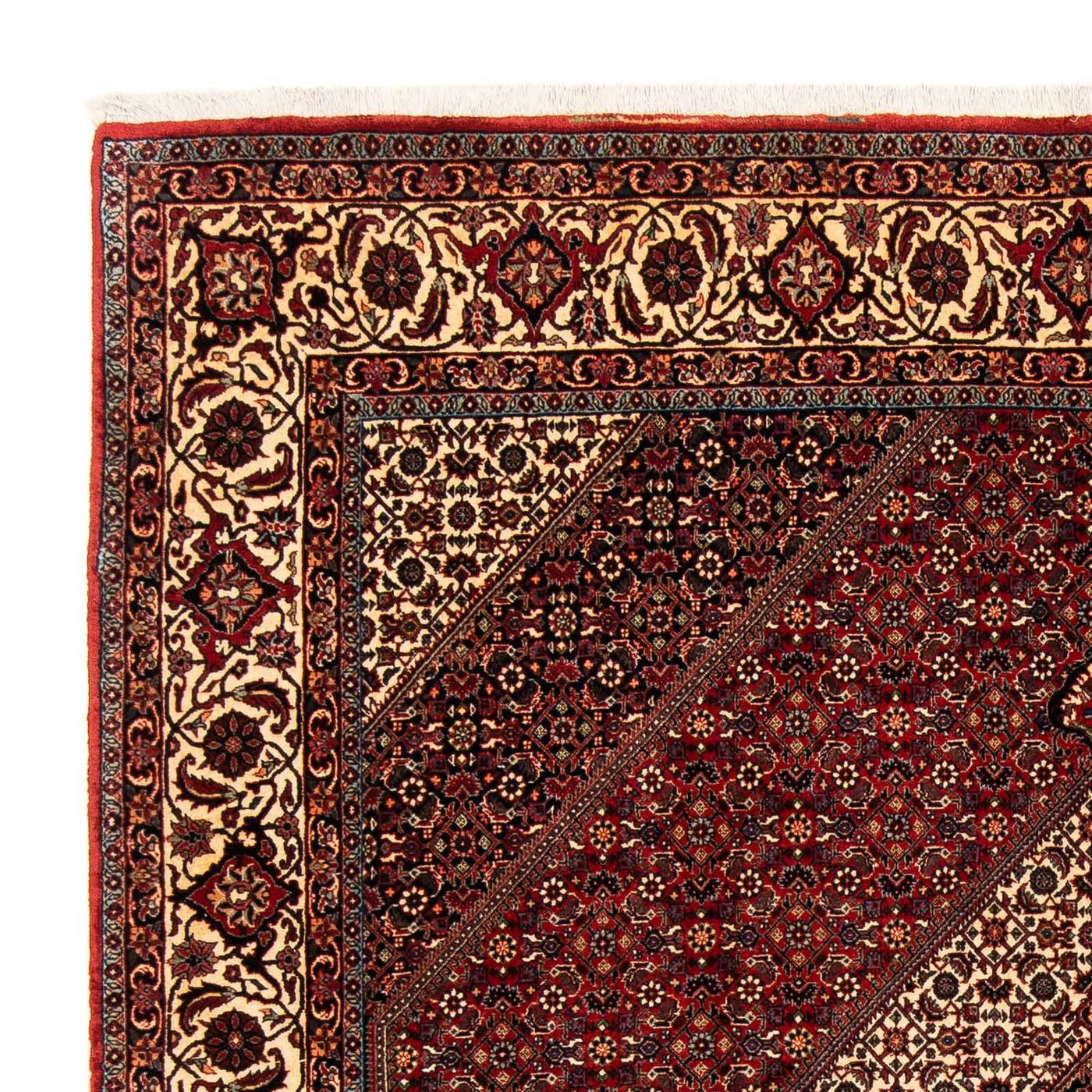 Bidjar Tappeto 254x204cm - Tappeto persiano