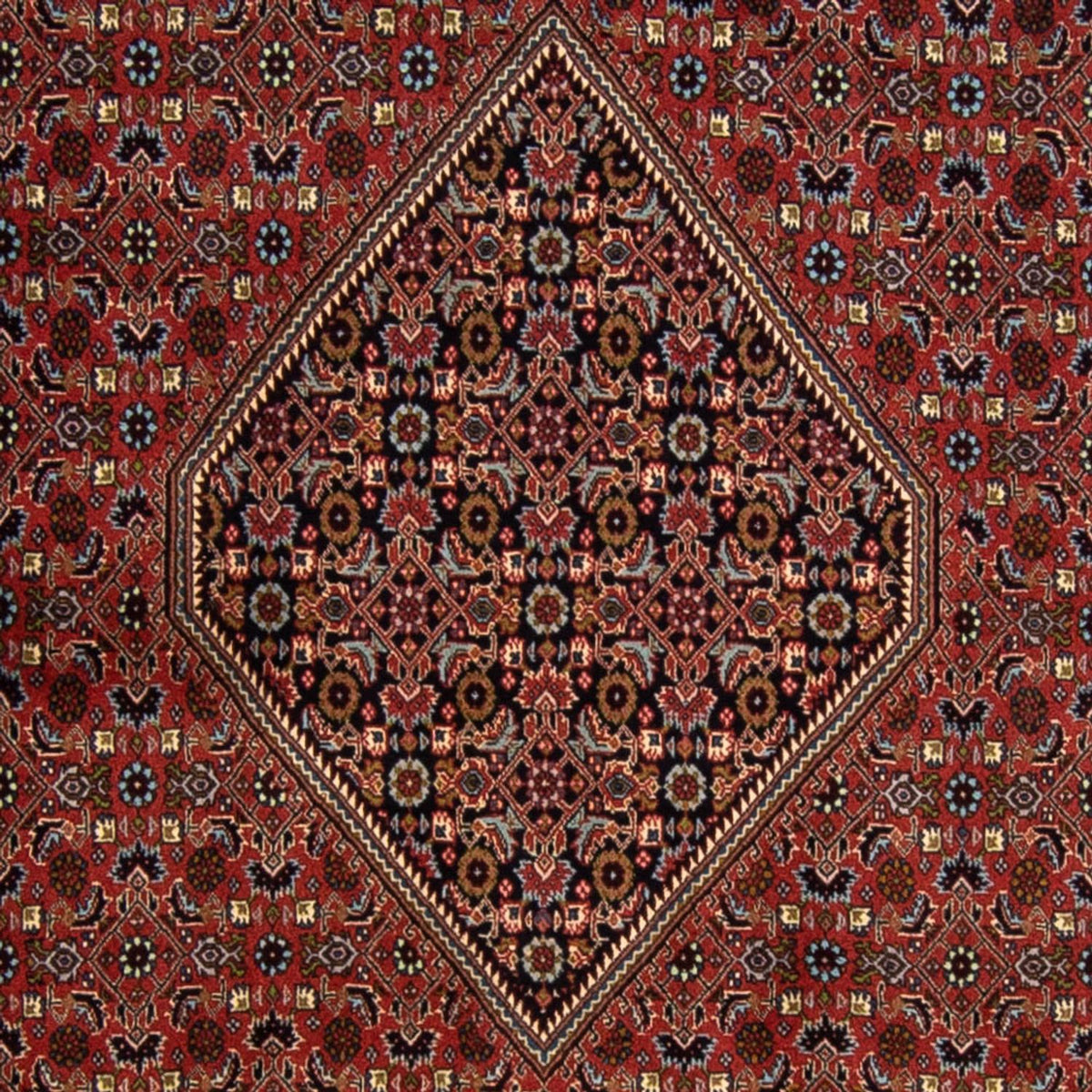 Tappeto Persero - Bidjar - 337 x 250 cm - rosso scuro
